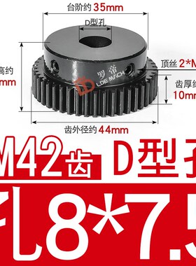 正齿轮 1模1fM42/44/45/48/50齿T 成品孔D形/D型凸台/带台阶直齿