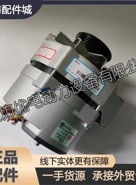 潍柴动力WP10WP12WP13船用柴油发动机原车配件1002029740发电机