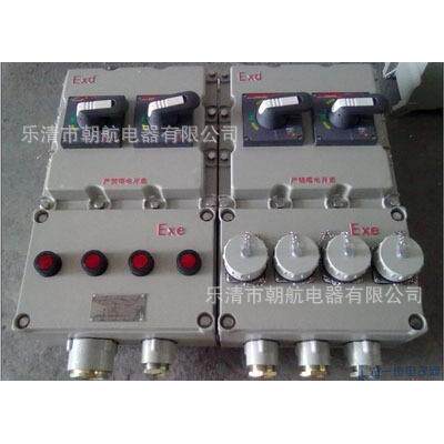 防爆仪表箱 BZA58防爆应急双电源箱 BXS8030切换箱BSG-T BXK-T.