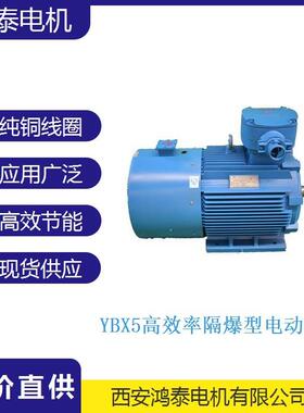 鸿泰一级能效防爆电机tYBX5-132M1-6t4KWt380Vt可软启动和软停机