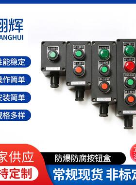 防腐按钮盒BZ8050-A2D1/A2D2/A3G,主令控制器，按钮开关盒防护