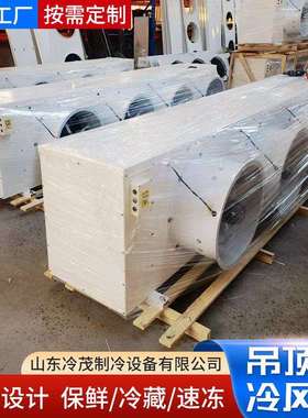冷库冷风机蒸发器吊顶式DD140/DL185/DJ105冷库全套设备制冷设备