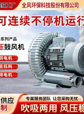 2RB 61D 高压风机 电压380V铸铝材质涡流风机