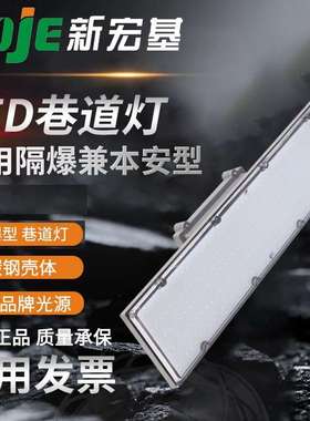 矿用隔爆兼本安型LED巷道灯可作应急DJS长型防爆灯