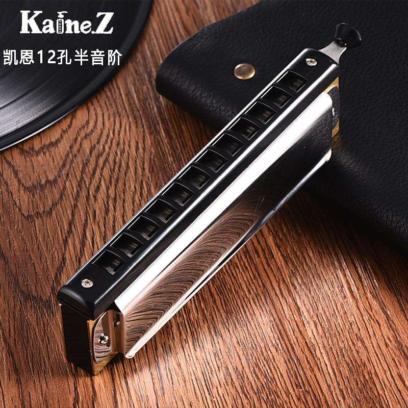 上海凯恩12孔半音阶口琴48音C调口琴高级成人儿童学生初学者乐器