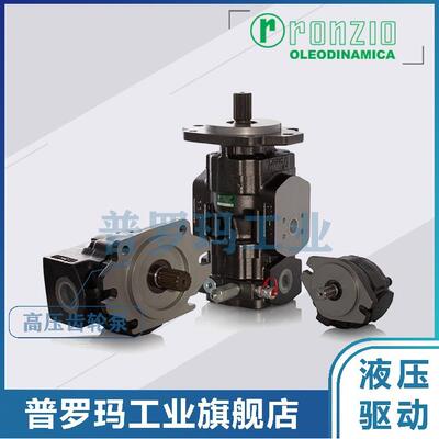 意大利罗茨RONZIO齿轮泵 01ZAG0811/16/21/26/32/37C408D N406D