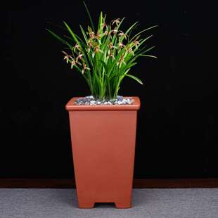 紫砂花盆高四方悬崖文竹客厅盆景盆个性陶瓷园艺花卉绿植厂家