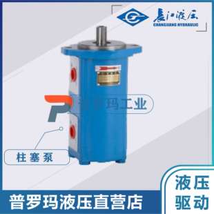 四川长江液压齿轮泵CBK1020/10-B2FR双联泵CBK1016/06-B1(3)FR