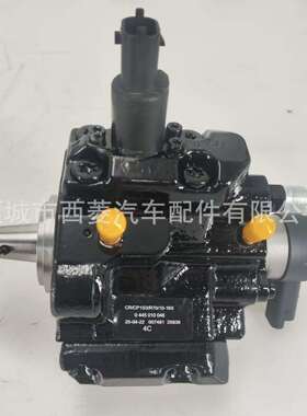 0445010046 喷射泵 雪铁龙 Berlingo C5 I Jumpy Xsara 2.0/2.2 H