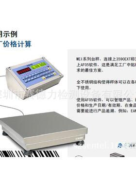 意大利狄纳乔Dini Arge不锈钢平台秤