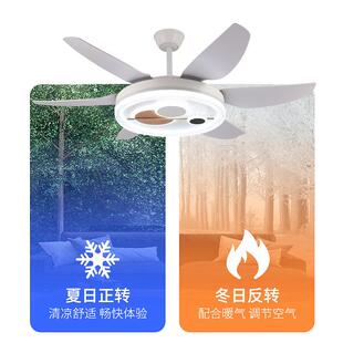 卧室电风扇灯餐厅风扇灯一体客厅卧室灯家用客厅6片扇叶固定吊扇