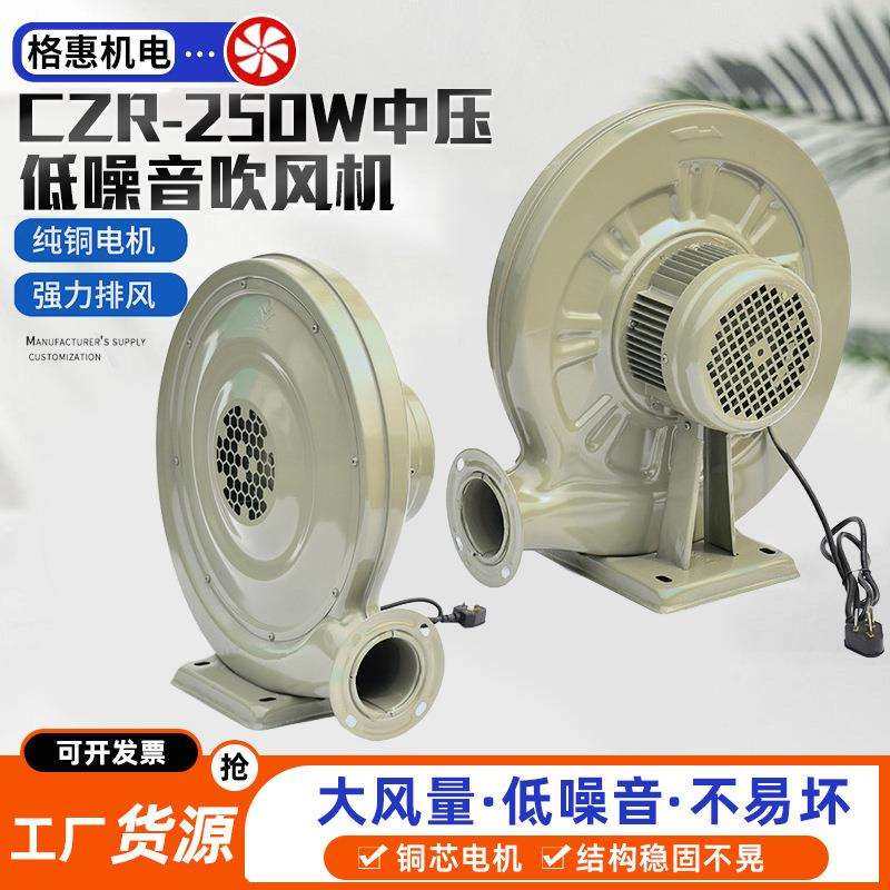 永强CZR-250W中压低噪音吹风机CZR-LY80气模中压风机炉灶风机