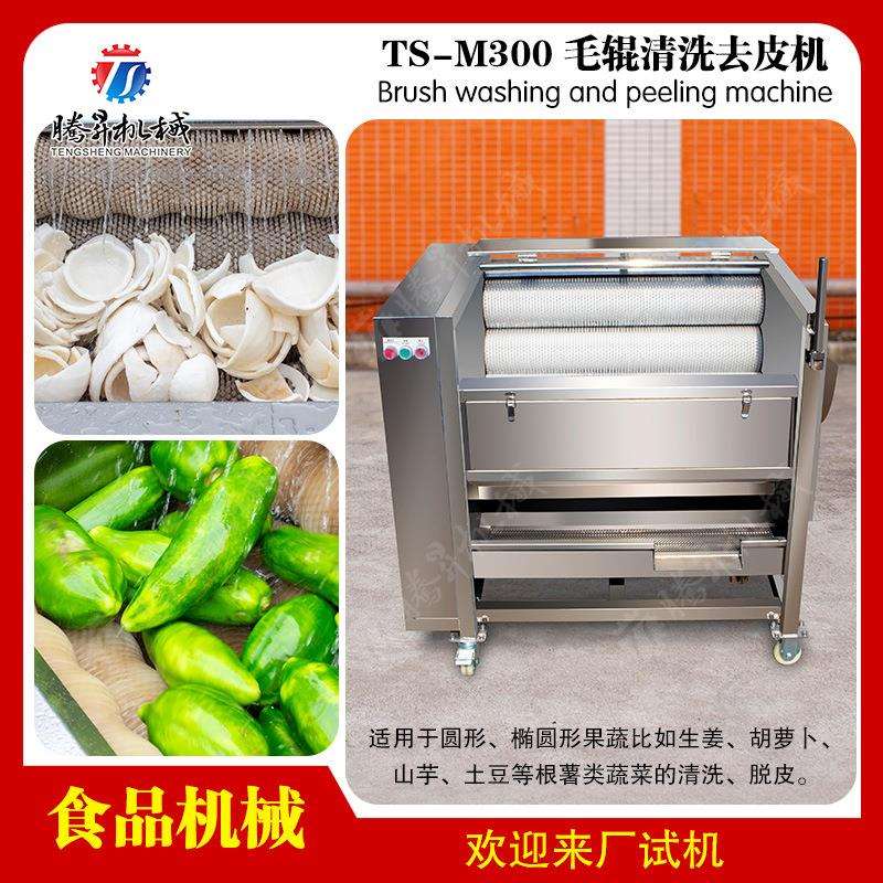 小型毛刷式洗果机 土豆红薯清洗机 毛辊清洗机厂家直销