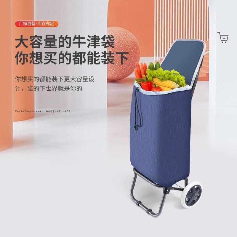 买菜车小拉车家用折叠轻便布袋老年人购物拉杆超轻手推车便携神器