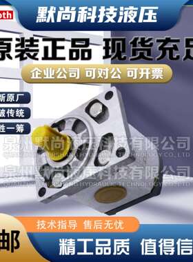 进口德国REXROTH-SIGMA力士乐齿轮泵1PF2G226/004LN01MHL液压油泵