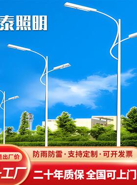 厂家直销高臂双挑LED灯市政工程同款电路灯6~15米杆长热镀锌路灯