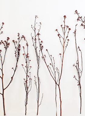 灯台干花真d树枝装饰插花红色干枝禅意中式摆饰橱窗造景家居插花