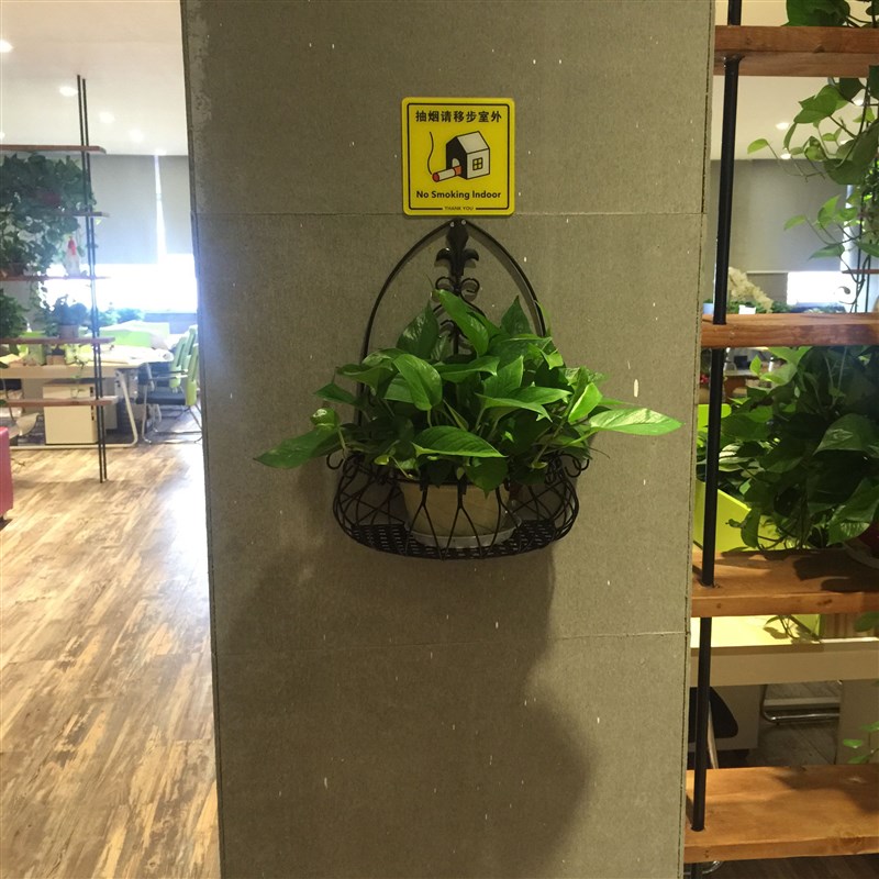 欧式铁艺壁挂花盆架 绿萝花u架挂墙上室内阳台 悬挂半圆花架 包邮