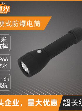 BAD206轻便式防爆手电筒工业级免维护防水防爆阻燃手电筒源头工厂