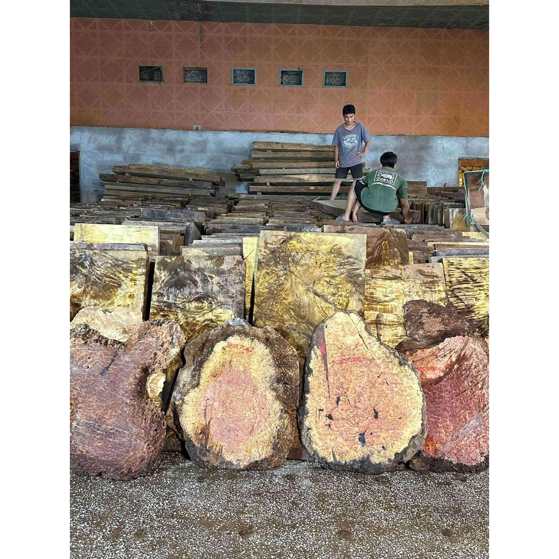 红金樟木爆满树瘤茶盘料 金丝楠木爆满树瘤茶盘料 瘿木瘤