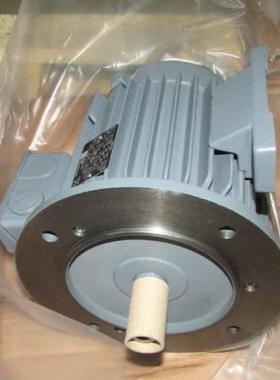 德国VEM三相异步电机