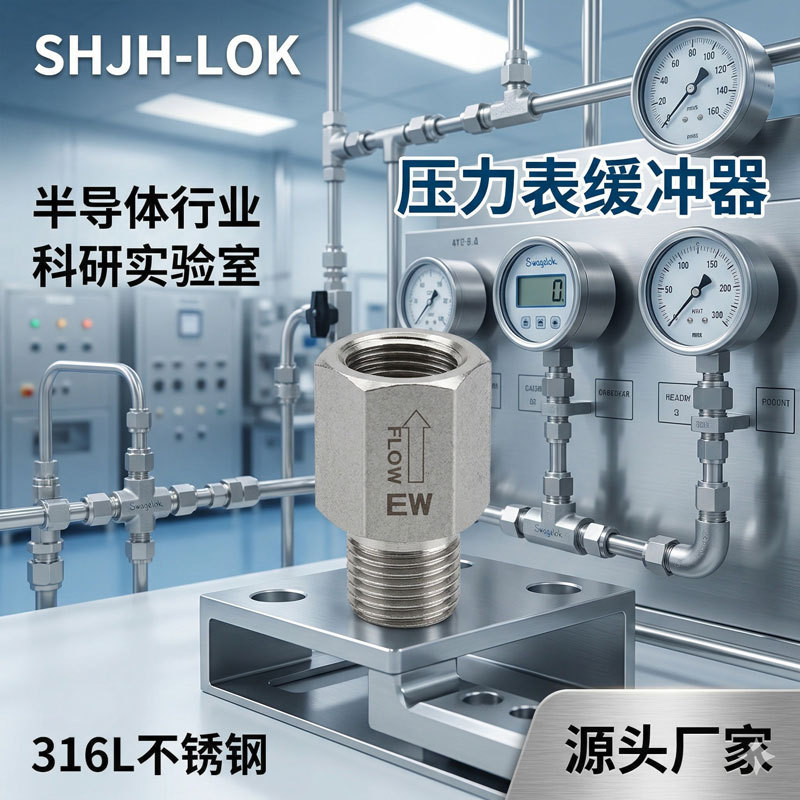 兼容世伟洛克压力表保护缓冲管SS-8-SA-EW内外丝压力表保护器316L