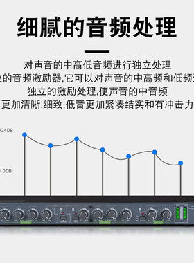 TD 专业人声效果器带q独立低频输出处理器 舞台演出KTV音频激励器