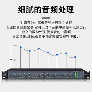 TD 专业人声效果器带q独立低频输出处理器 舞台演出KTV音频激励器