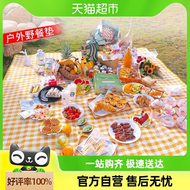 包邮野餐垫加厚防水防潮可手提便携春游野炊郊游垫子露营地垫