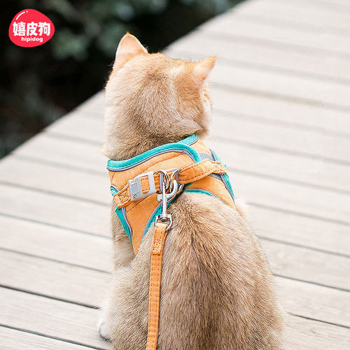 猫咪牵引绳防挣脱外出专用遛猫绳溜猫链子宠物Q胸背带猫绳子小型