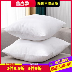 沙发抱枕芯45x45cm枕芯内胆皮50Cx50cm内芯长方形枕心方形靠垫皮
