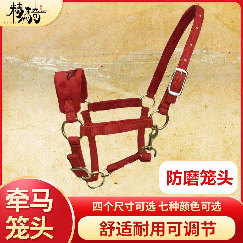马笼头绳子牵马调教笼头全套线板大小矮马龙头嚼子马术用品亏