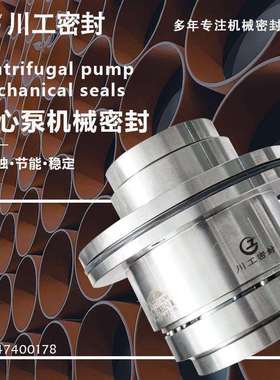 双端面泵 ACP200-400.5S BS60ACP300-400.3F 离心泵机械密封厂家