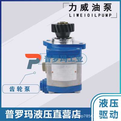 合肥力威液压3407020-155-CS2A客汽车 动力泵转向泵QC13/12-D10WX