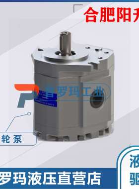 农机齿轮泵CBTD-F410/420/425/423-ALH4L 合肥阳升长源液压齿轮泵
