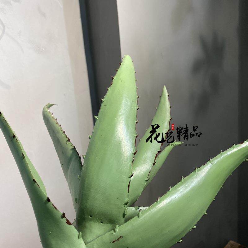 仿真芦荟盆栽植物 绿植多肉龙舌兰热带装饰摆件拍摄摆放花卉道具