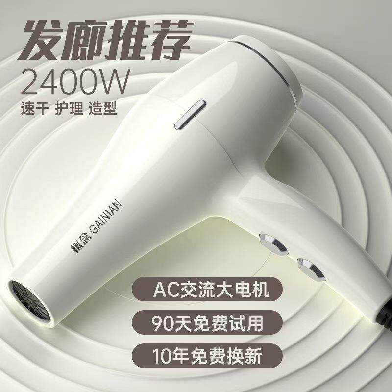 吹风机发廊大功率大风力电吹风电器家用大功率吹风筒厂家