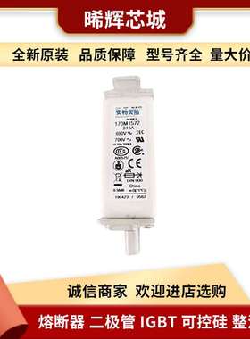 170M1572 170M4066 电子元器件 库存充足 型号齐全低压快速熔断器