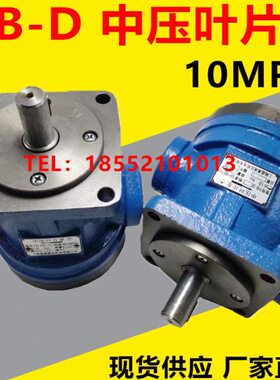 6DDD Y-D. Y12Y压- YB  YB-B-B16叶片泵中D3-252油泵20 YB10D3DB-