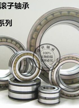 常州满装圆柱滚子轴承SL184860 NNCF4860内径300外径420厚度118mm