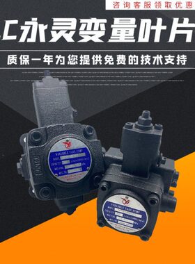 1量30L- 变V -270-居永灵Y叶片泵P5570 15VC油泵20-40 /仙/P35