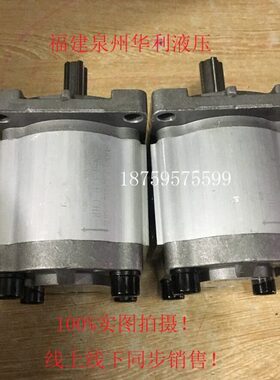 油泵齿轮泵CBN-E304 CBN-E306 CBN-E310 CBN-E316 CBN-E320 E325