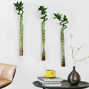 创意简约现代水培花瓶家居瓶墙壁装饰挂件客厅壁挂转运竹挂餐厅