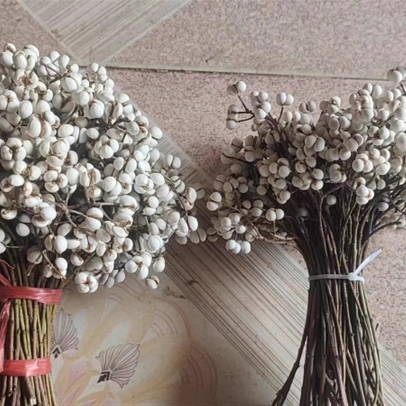 小白果乌b桕果干花花束插花松树装饰树枝植物圣诞树北欧风花束干