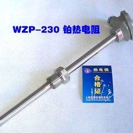 110P/PW铂T-23/0/PT0螺纹热电阻ZZ/温度传感器WP23固定0热电偶10-