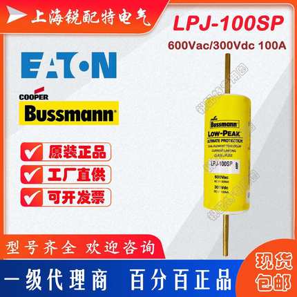 LPJ-100SP 延时保险丝 600V100A 巴斯曼BUSSMANN熔断器 LPJ-80SP