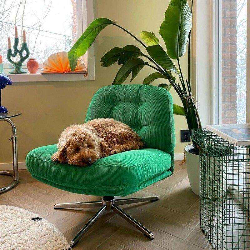 杜威林格单人椅休闲阳台客厅旋转沙发椅子设计师创意网红懒人TYmy