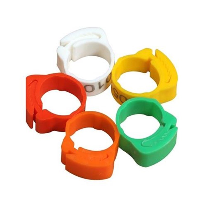 鸡脚环卡扣式鸡用脚环脚圈记号识别环鸡鸭鹅家禽类脚环脚圈标签