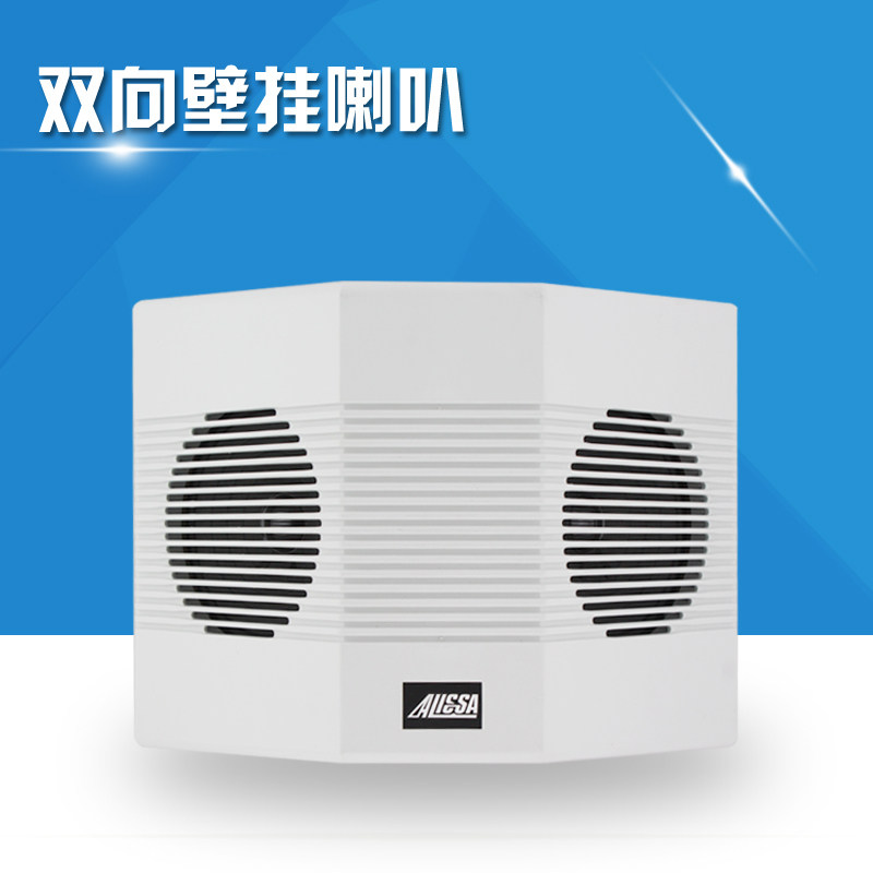 壁挂音箱 墙壁喇叭双向壁挂 双面 大功率 挂壁 悬挂音箱