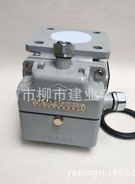 QJ9-50TH QJ9-80TH QJ8-50TH QJ8-80TH变压器气体瓦斯继电器